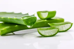 10 Increibles propiedades y beneficios de la sabila