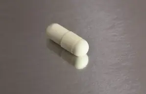 ¿Qué son los probióticos? Descubre sus beneficios y en qué alimentos los encuentras!