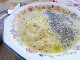 Sopa fría de calabacin y puerro