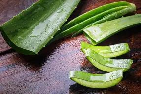 Sábila (Aloe Vera): propiedades, beneficios y usos del gel
