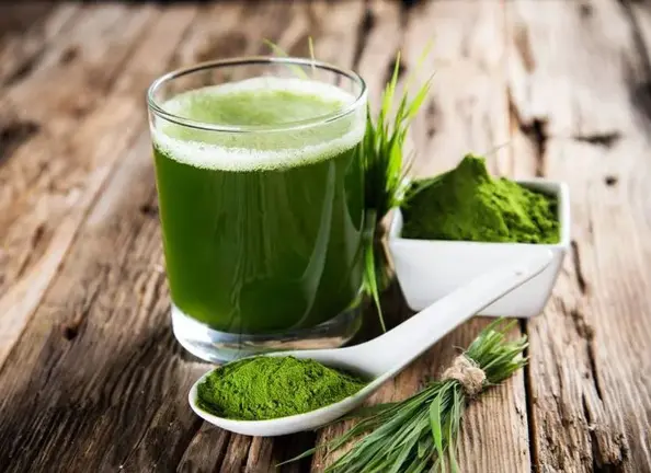 Beneficios de la Moringa Oleífera