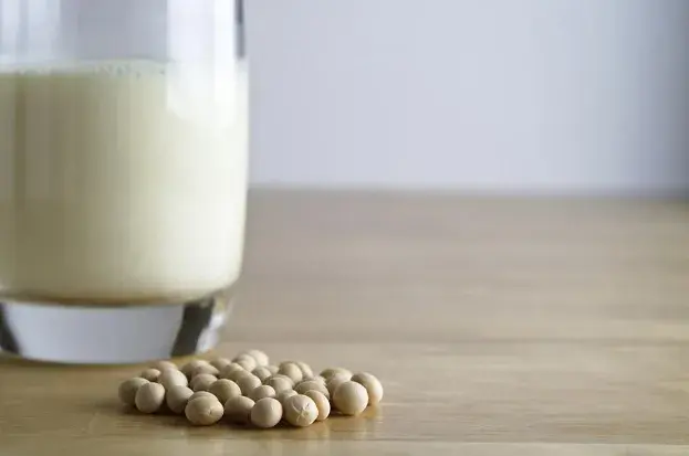Leche de soja casera