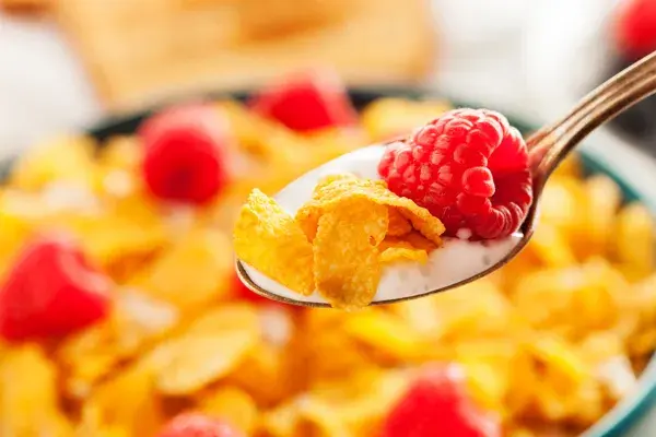 Desayunos Económicos y Nutritivos