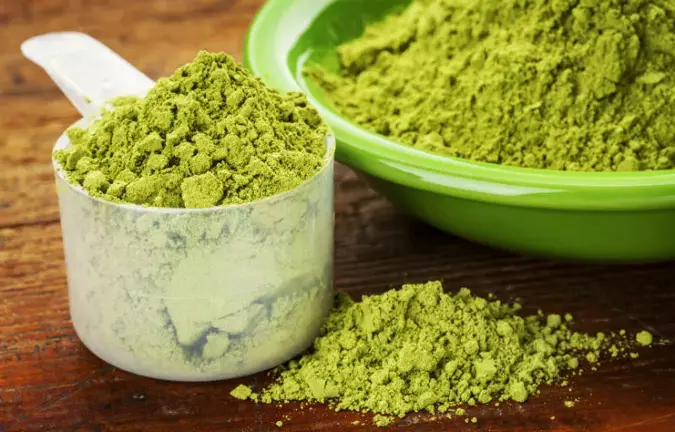 Semilla de Moringa: Propiedades y Usos