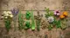 Foto de 10 Plantas Medicinales y Sus Beneficios para la Salud