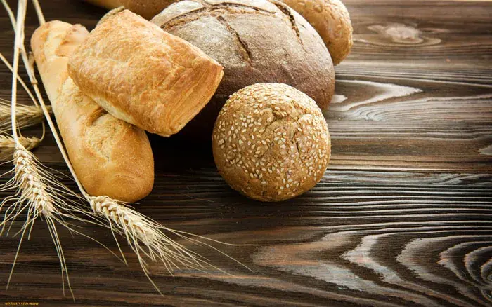 Fibra alimentaria