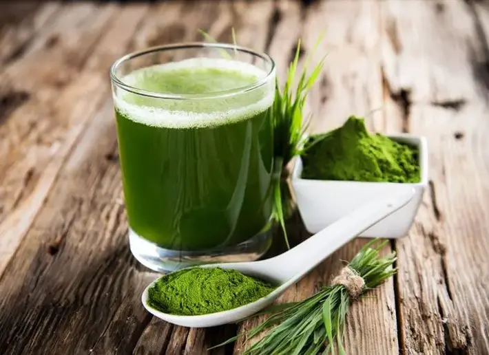 Para que sirve la Moringa