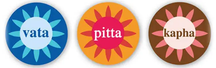 3 doshas