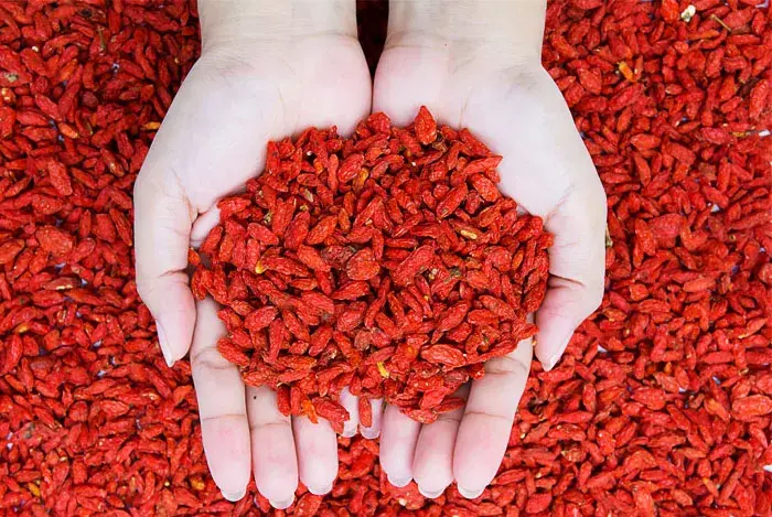 Bayas de goji