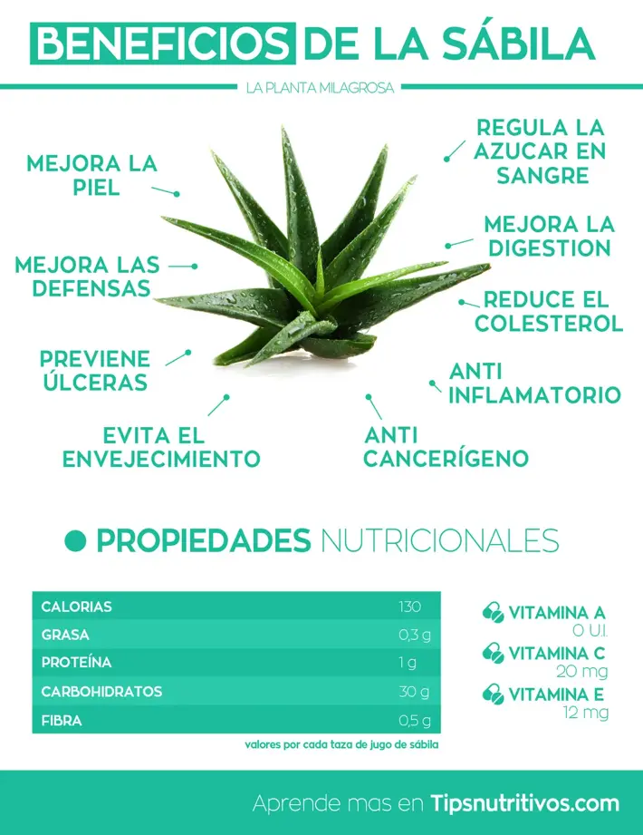 Infografia de la sabila