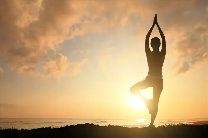 Fase de estabilizacion