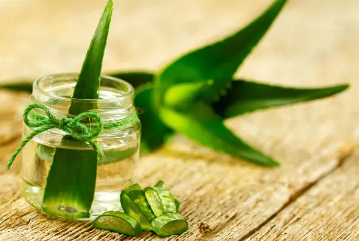 Gel de aloe vera