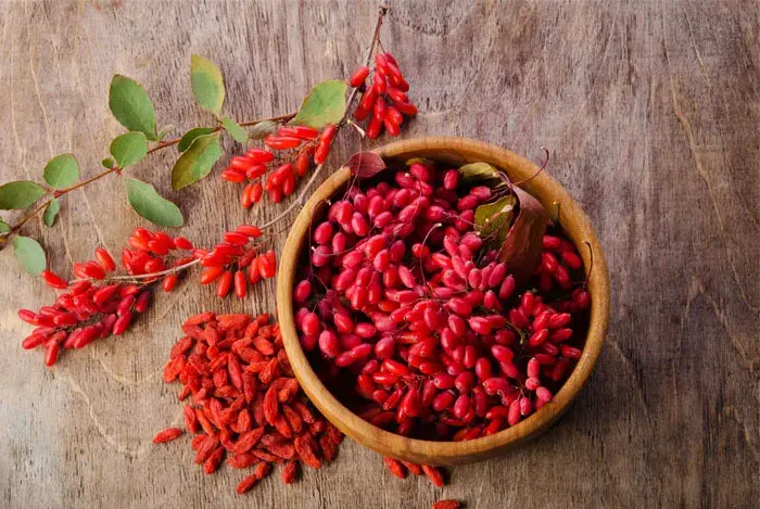 Propiedades bayas de goji