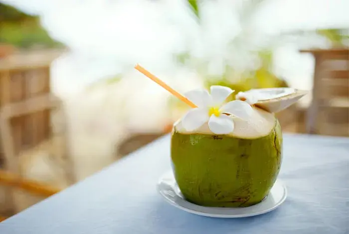 Trago de coco