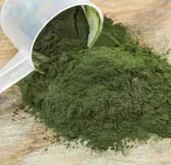 Espirulina hawaiana