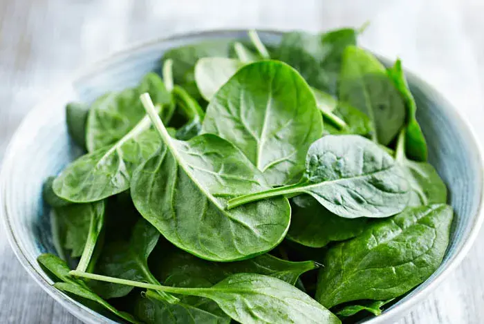 Hojas de espinaca