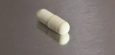 ¿Qué son los probióticos? Descubre sus beneficios y en qué alimentos los encuentras!