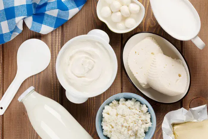 Productos lácteos
