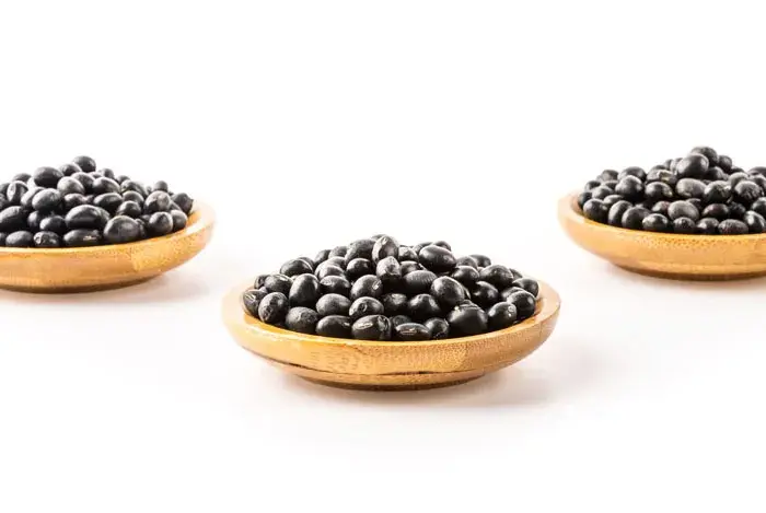 comidas ricas en proteina