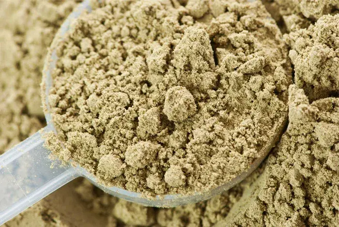 polvo de cañamo