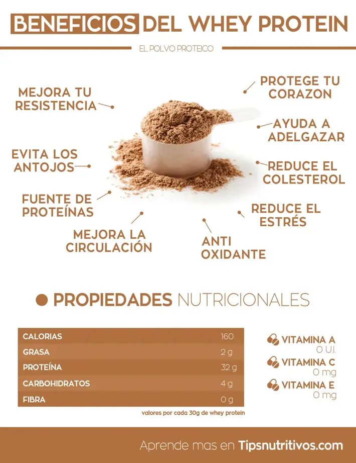 Beneficios del whey protein - Infografia