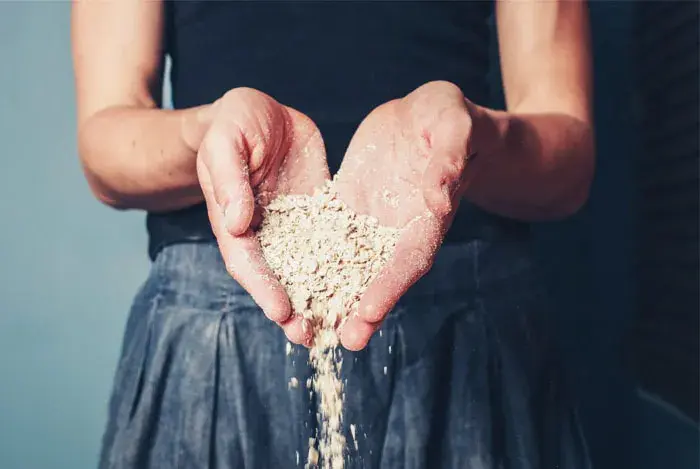 Propiedades y beneficios de la avena