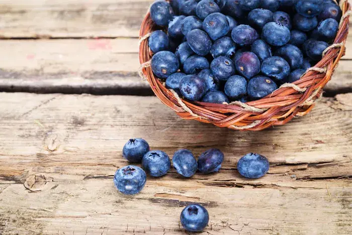 cesta de arandanos