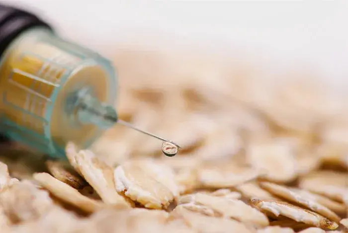 prevencion de diabetes