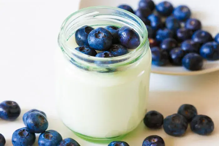yogurt de arandanos