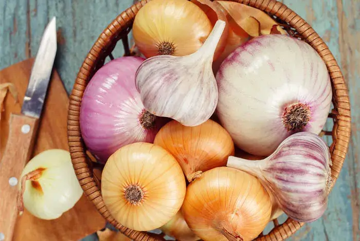 imagen11-cebollas