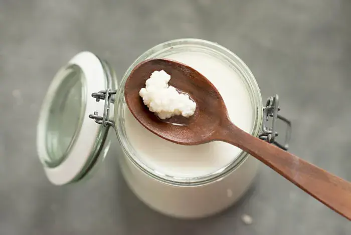 imagen12-sistema-digestivo