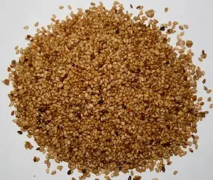 Ajonjoli