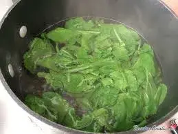 lechuga
