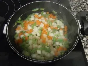 Sopadevegetales