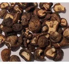 shiitake