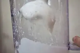 veganesa preparacion