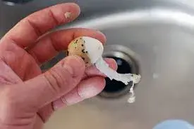 pelados