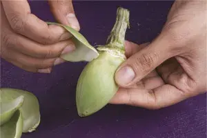 Alcachofa corazon