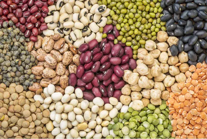 legumbres  sin gluten