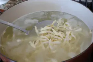 Fetuccini