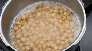 Garbanzo