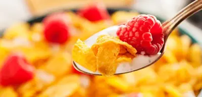 Desayunos para bajar de peso económicos