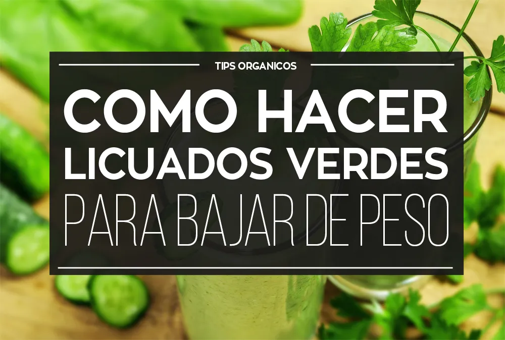 Como hacer nutritivos licuados verdes para bajar de peso