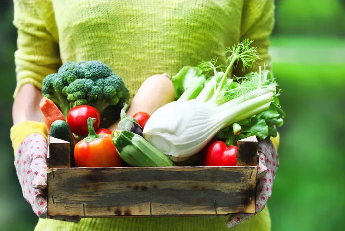 ¿Como funciona la dieta DASH en tu cuerpo?