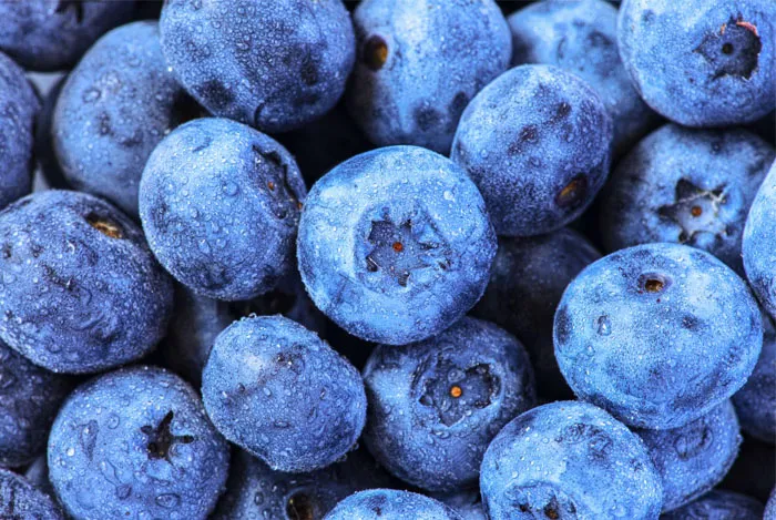 10 Increibles propiedades y beneficios de los arándanos